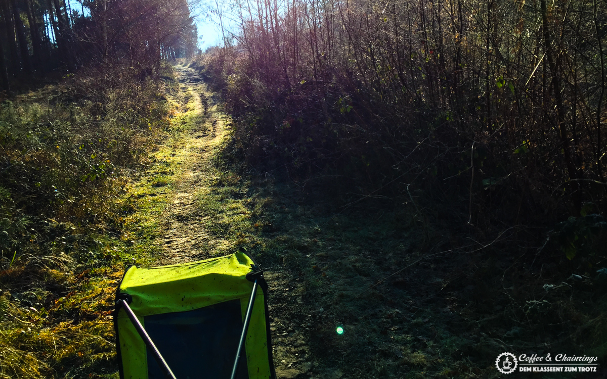 Halde Ratheim: Trailspaß in der Reggie Einheit
