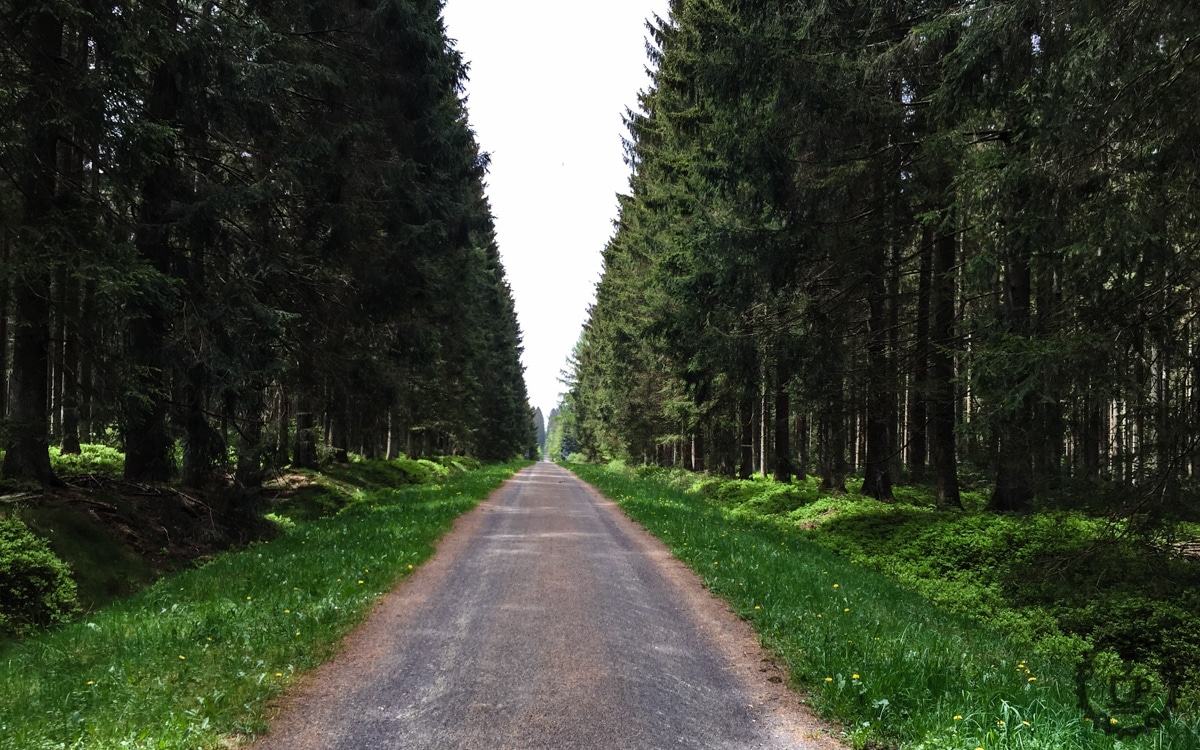 Links und rechts ein wahres MTB Paradies